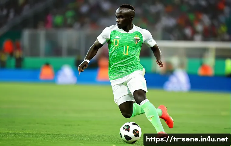 세네갈 축구 대표팀 관련 이미지 2